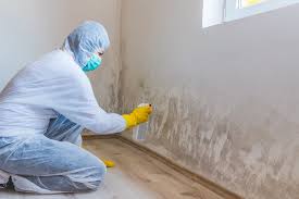 Best Basement Mold Removal  in Americus, GA