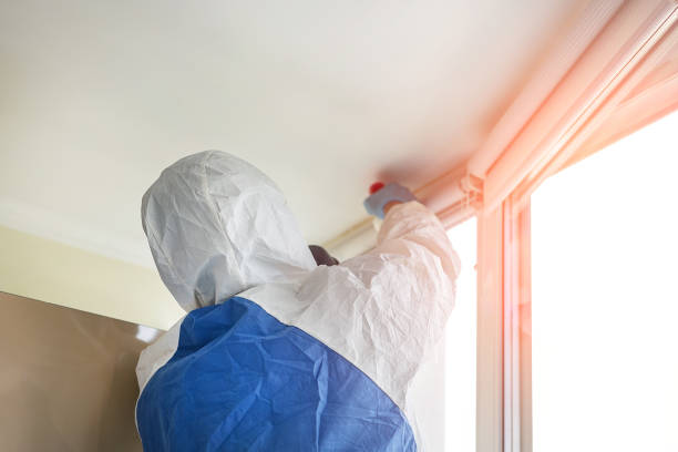 Professional Mold Removal & Remediation in Americus, GA