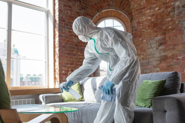 Best Mold Remediation for Healthcare Facilities  in Americus, GA