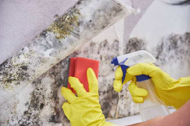 Best Forensic Mold Investigation  in Americus, GA